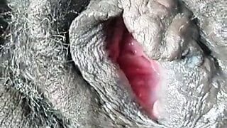 Big black gaping pregnant pussy